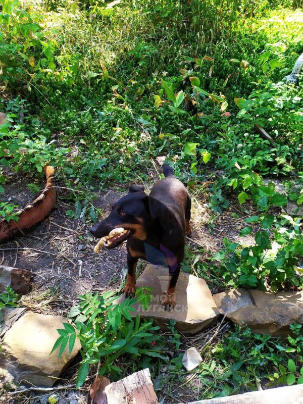 ��� ����� ������, 130 � �������� ( ��� ��� �������� "�����" ),�� ����� ��� ��� ������ ����� ������� ���������� ( ����) , ��...