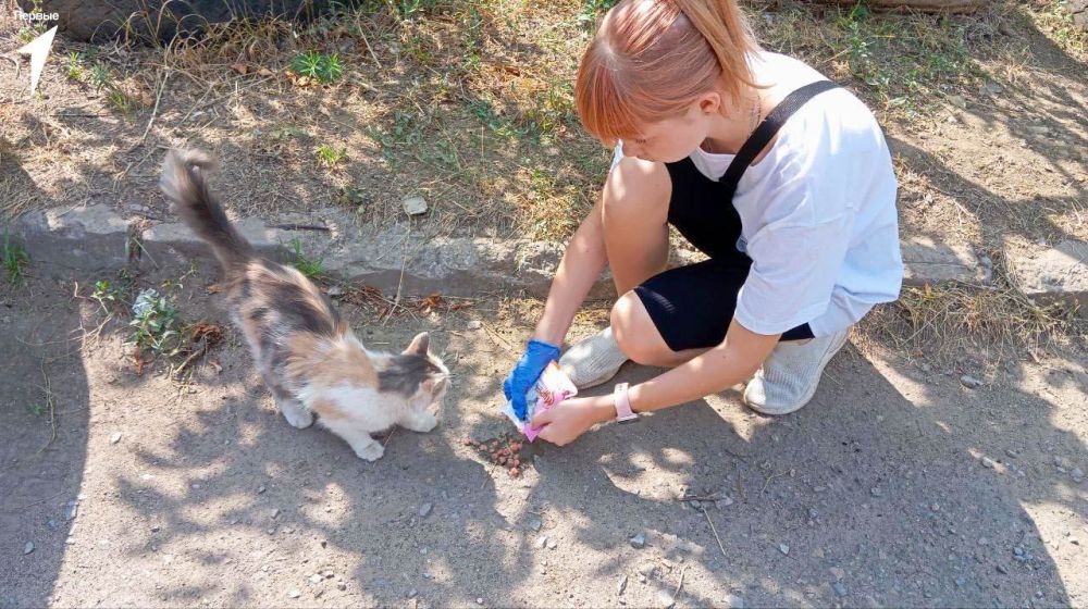 � ��� ��������� ���������� �������� ��������� ��������� ��������