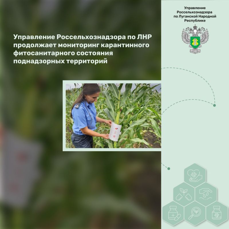 ���������� ����������������� �� ��� ���������� ���������� ������������ ��������������� ��������� ������������ ����������