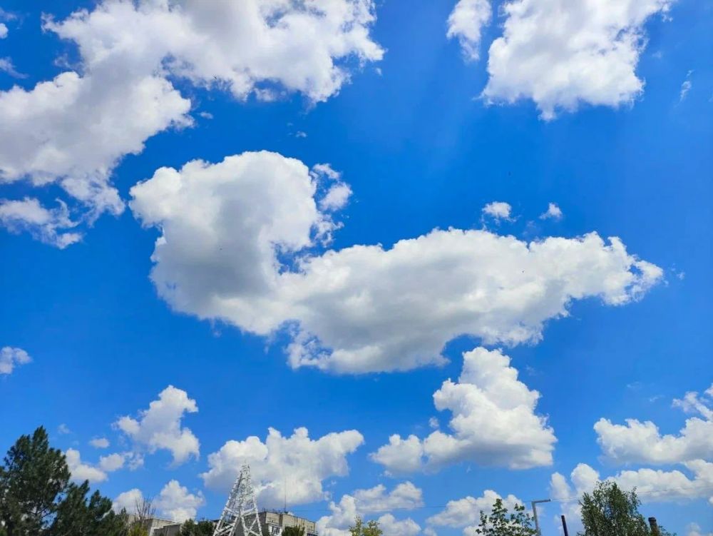 �� +37 �������� ������������ ��������� � �������� 21 �������