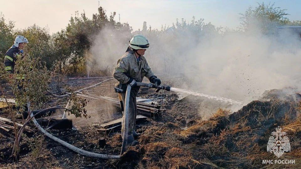 ����������� ����� ��������� ������������ � ������ ����� � �������������� ������