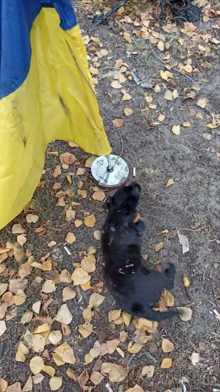 ВСУ при помощи БПЛА «Баба Яга» пытались на магнитах прикрепить украинский флаг к телевышке в Кременной - депутат Народного Совета ЛНР Юрий Юров