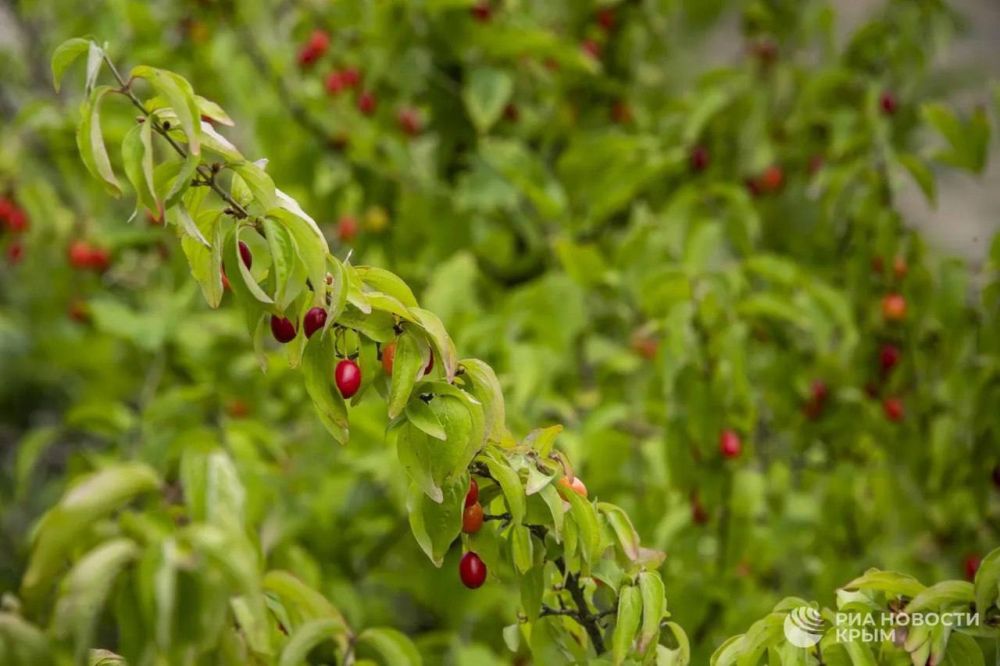 ������ �� ����� ����������� ������