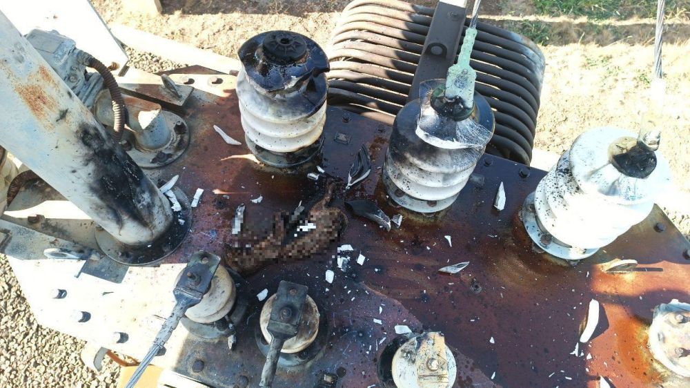 ������ �������������� �������� ��������� �� �������������������, � ���������� �������� ��� ������������� �������� ����� ���� ����� ������� � 11 ���������� ������� ����������