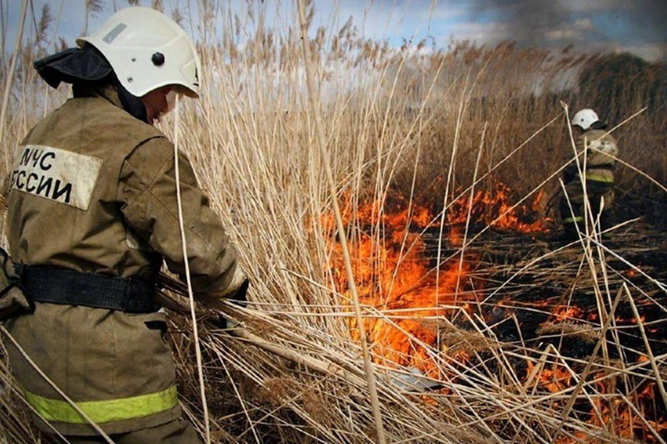 ��������� �������� 46 ��������� ������� � ��� �� �����