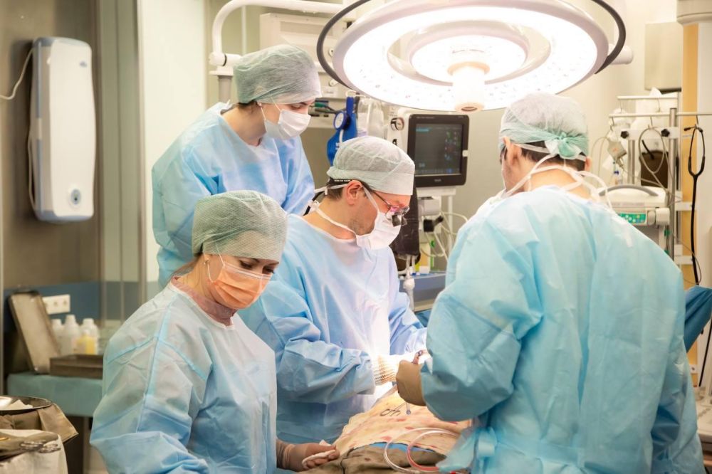 ����������� ���� ����������� ��. ��. �.�