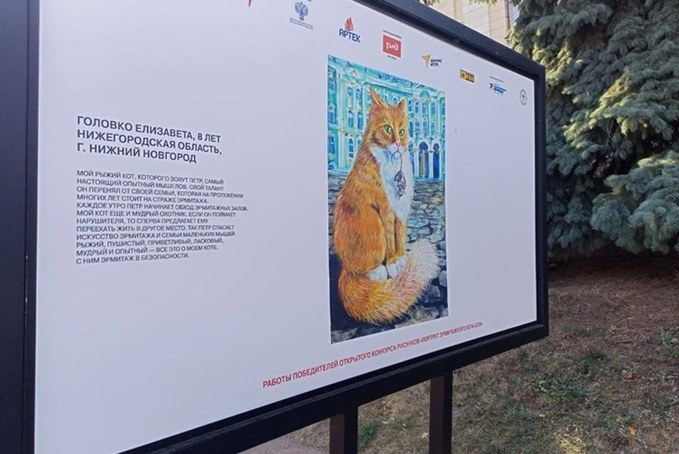 �������� � �������� ��������� �������� ����������� ����-2024� ��������� � ���