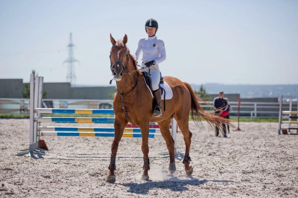 ��������� �����-���������� ����� 31 ������� �������� ����������� �����������, ����������� ��� ������