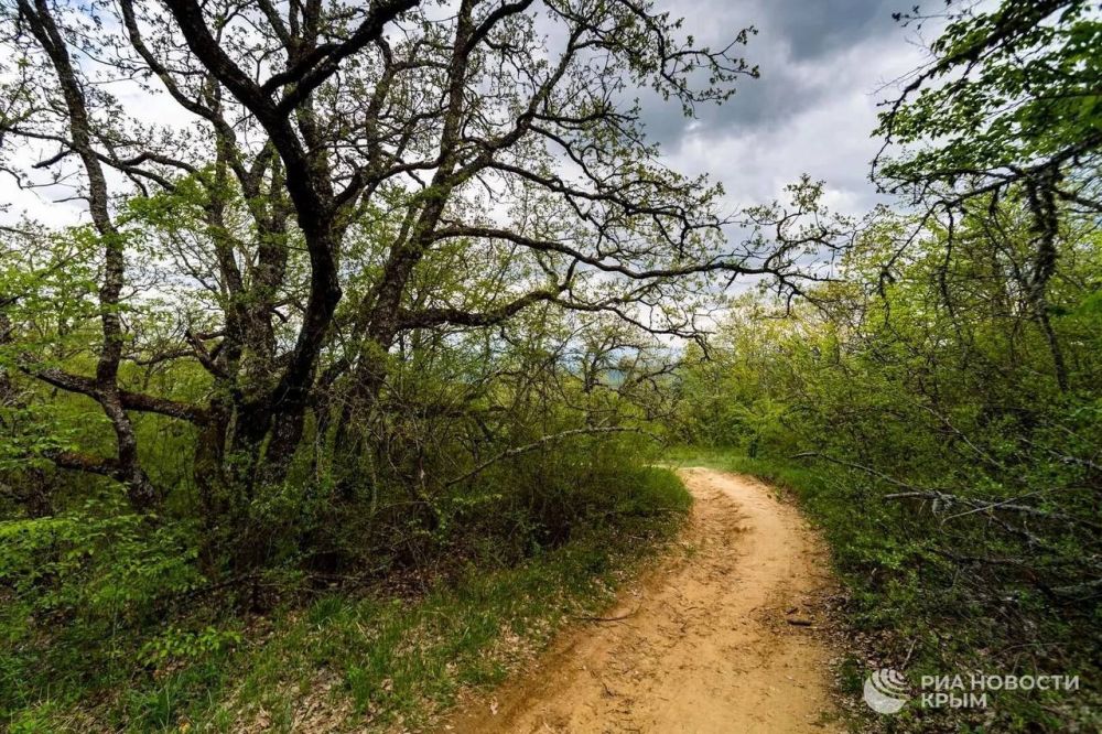 ������ �� ����� ����������� ������