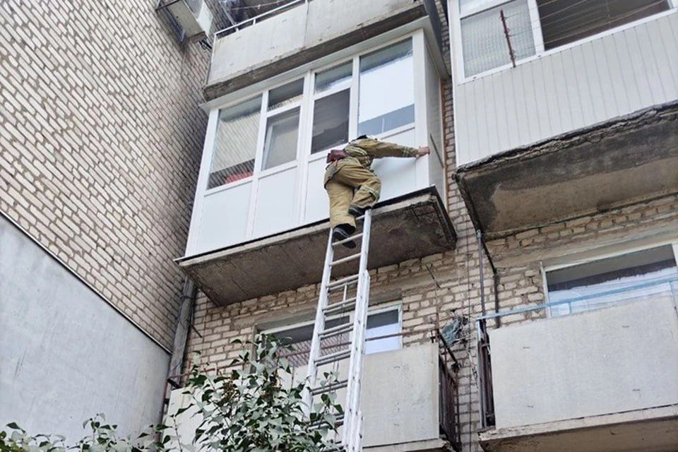 � �������� 30 ������� � 8:55 � ����������� �� ������� ����� 11-������ ������� ��������� �������� � �������� � �� ����� ���������