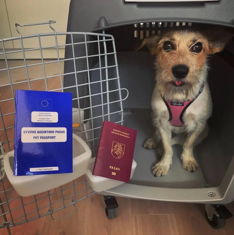 � ��������� �������� ���������� ������ �������� �������� �� ���������������� ������������ � ������������ ��������