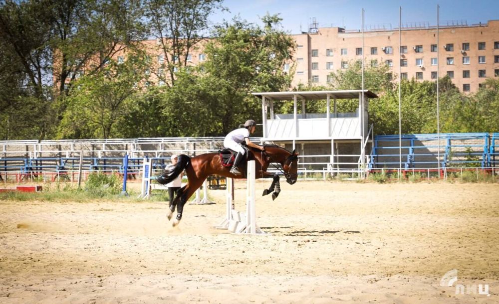 ���������� ��������� ����� �� ������� ������ � �������� ���������� ���������� �� ������������� � �����-��������� � ������������