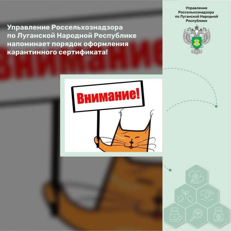 ���������� ����������������� �� ��������� �������� ���������� ���������� ������� ���������� ������������ �����������