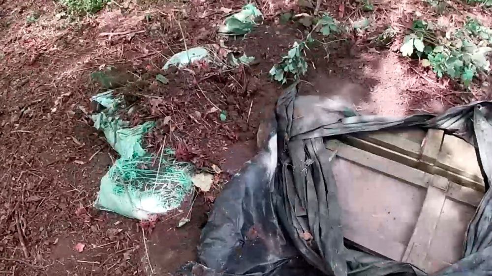 ���������� ���������� ����� ��� �� 125 ������������ ������� � ���