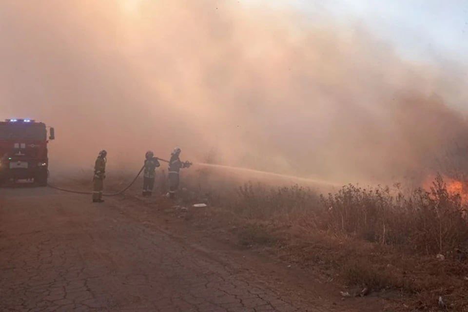 � ��� �� �������� ����� �������� ������������� 38 ��������� ����������