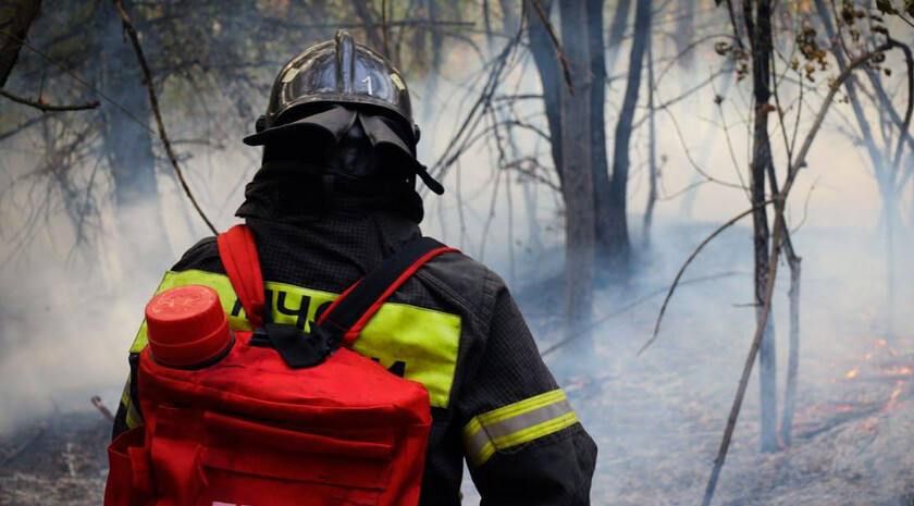 ����� 45 ��������� ������� ��������� �� ���������� ��� �� �����