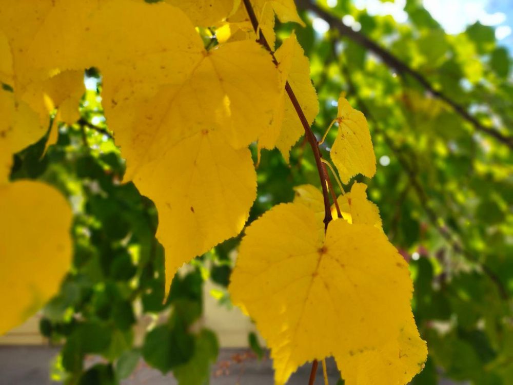 25 �������� � �������� ����� ������, ��� �������