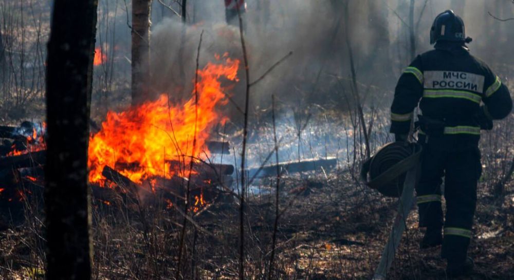 ������������ ��������������� ��������� �� ���� ���������� ��� �� ����� ����� 1 ������� � 2 �������