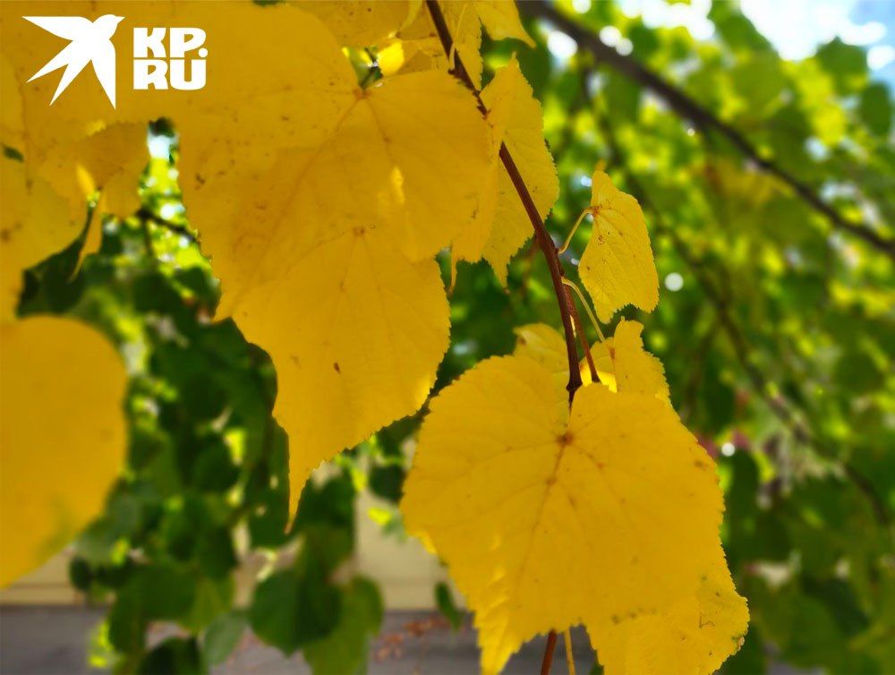 ��������� ������������ � ��� ����� 3 � 4 �������