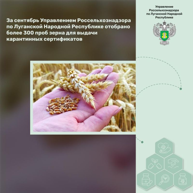 �� �������� ����������� ����������������� �� ��������� �������� ���������� �������� ����� 300 ���� ����� ��� ������ ����������� ������������