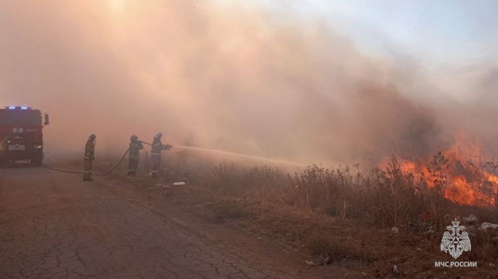 3 ������� �� ���������� ��� ������������� 57 �������, 42 �� ��� � � ����������, �������� � �� ��� ������ �� ���