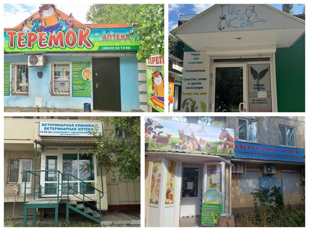 ����������� ����������������� �� ��� � ������� �������� 2024 ���� ���� ��������� 13 ������ ����������� ��������