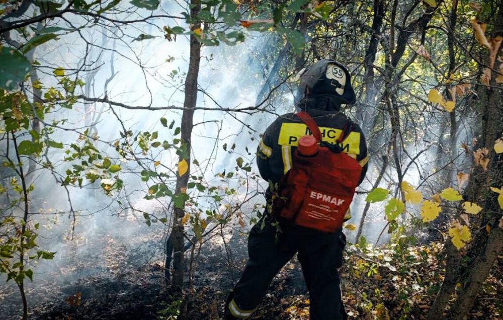 ������������ ��������������� ��������� �� ���� ���������� ��� �� ����� ����� 5 ������� � 6 �������