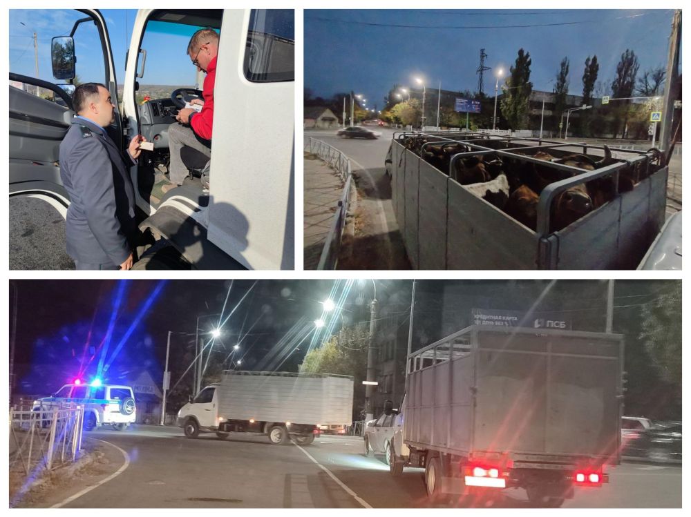 � ��������� �������� ���������� ������������������ ��������� ��������� �������� �������� ����� � ����������� ������ ���������