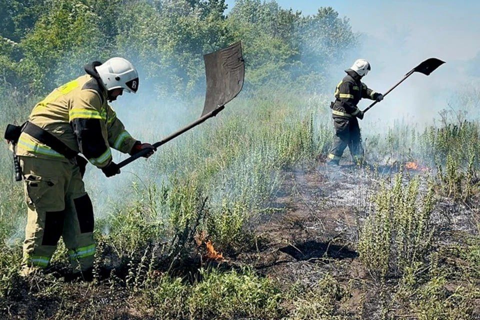 143 �������� ����� �������������� �������� � ��� �� ��������� ������� 6 �������