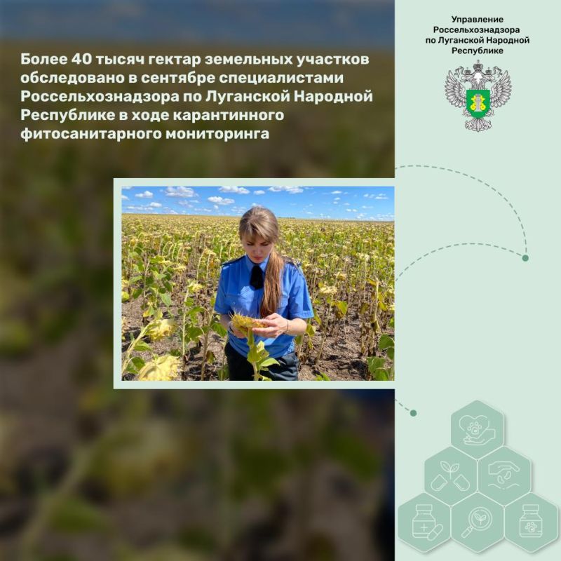 ����� 40 ����� ������ ��������� �������� ����������� � �������� ������������� ����������������� �� ��������� �������� ���������� � ���� ������������ ��������������� �����������