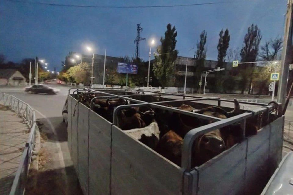 � ���������� ������� � ���� �������� �������� 17 ����� �������� ����� �� ���