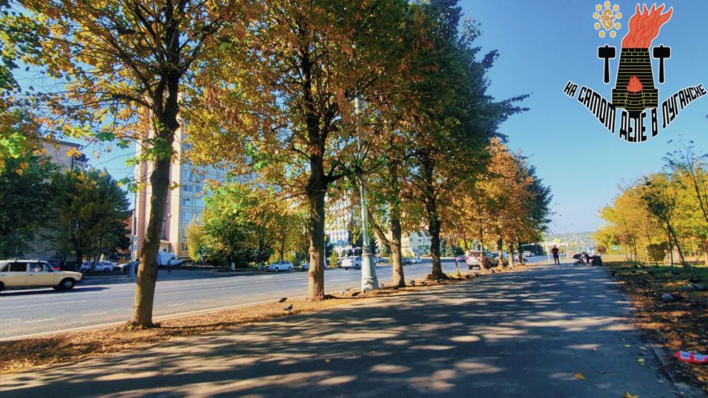 ������ ����, �������!. ������ ���� ����� �����, ��� �������. ������������ ����������� ������� ���� +28�C, ����� ���-���������, 4�/�. ����� ������� ���������� ��������� �� +9�C, ������ ����� ������������, ��� �������, ����� ���-���������, 3�/�