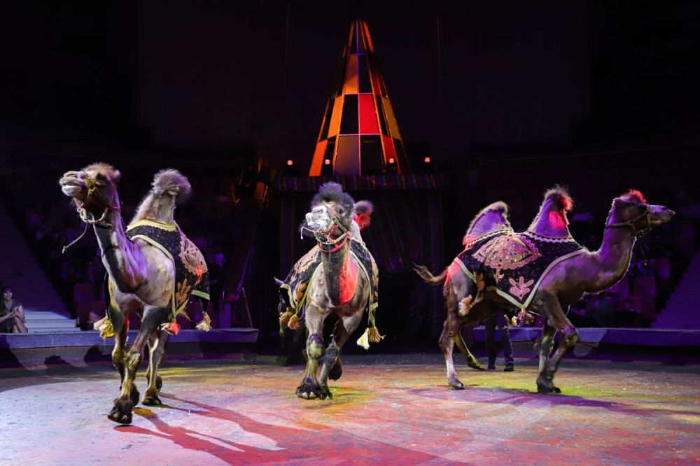 ��������� �� ��� �������� �� �������� ��� � �����. ����