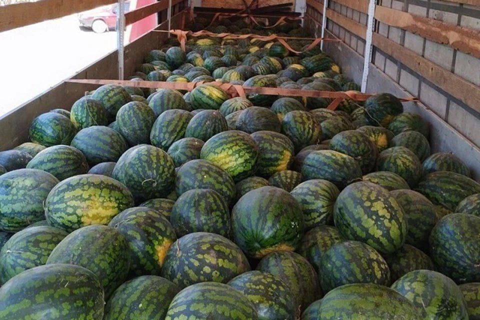 10 ���� ������� ������� ���������� �� ������������ �������