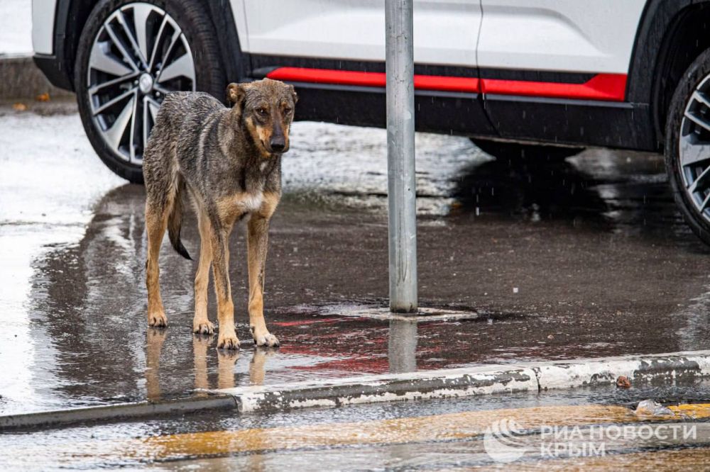 ������ �� ����� ����������� ������