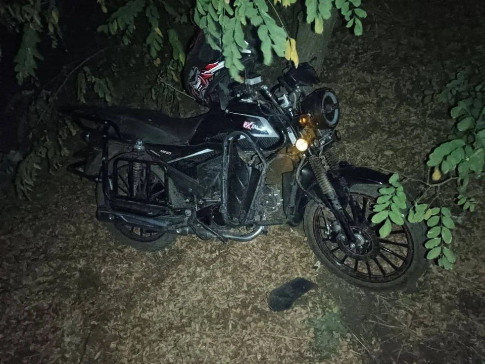 15-������ ����������� ��������� � ��� � ���������