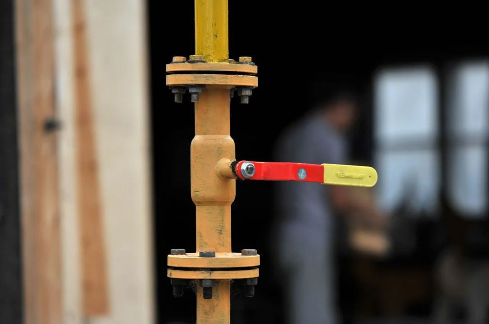 ������� ���� �������� �������� ���������� �������