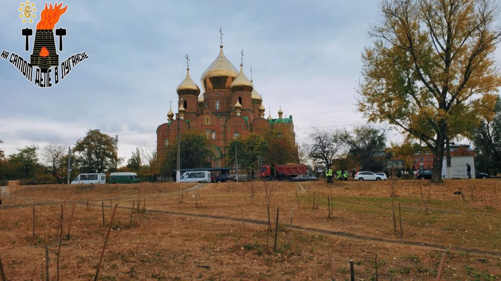 ���� � ��������: ���� �������� ������, � ����������� ���������� ������� ������ ������