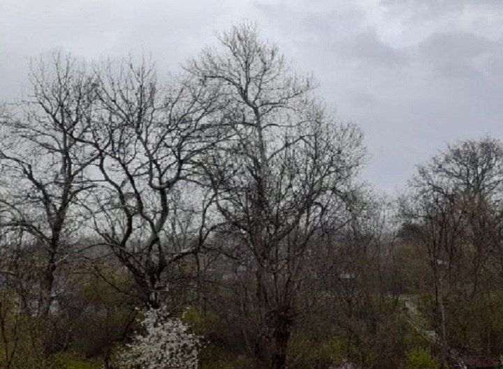 � �������� ������������ ����������� 14 �������