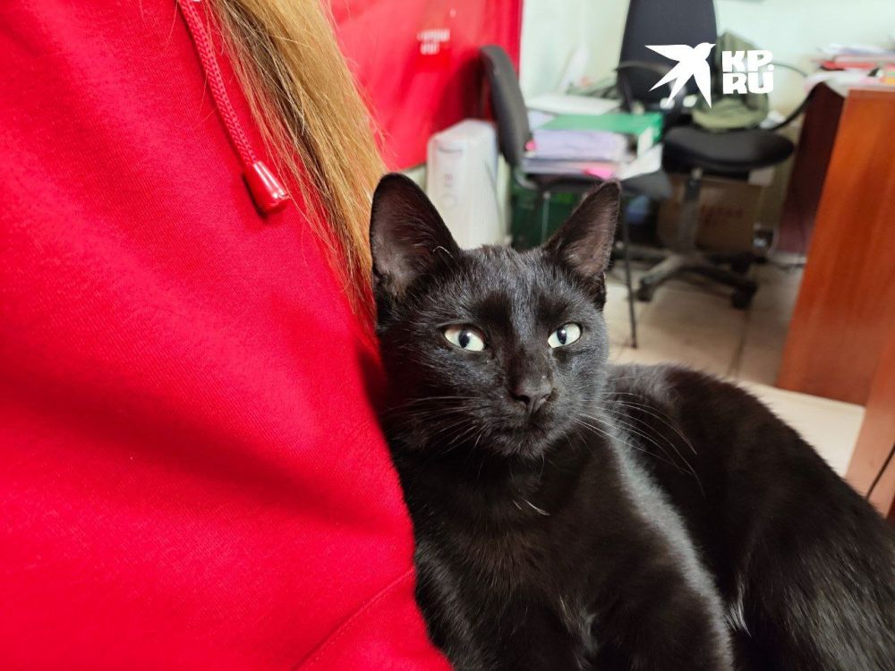 ����� ��������� ������������� ��������� ������