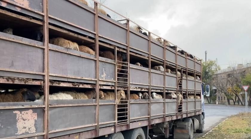 ���������� ���������� ����������������� �� ��� ��������� � ������������������� �������� ��������� 400 ����, ������� ���������� �� �������������� � ��������� ����� ��� ����������������� ����� � ����������� ������������ ���������������� ����������