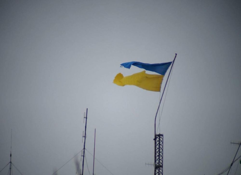 ������ � �����, � ���� ��� ������!