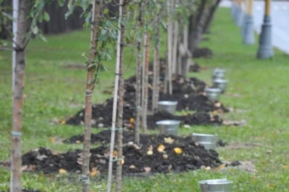 ��������� ����� �������� � �������� �� ��� ����