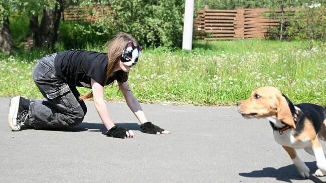 �������� ����������� �� �������� �������� �������� � ��������������� ����������� ���, ������ ��� ������ ����������� �������� ����������� � ����� ��� ������� ������������