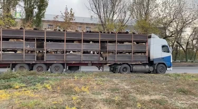 ���������������� ���������� ������� ���� ���������� ��������� 400 �������������������� ��������