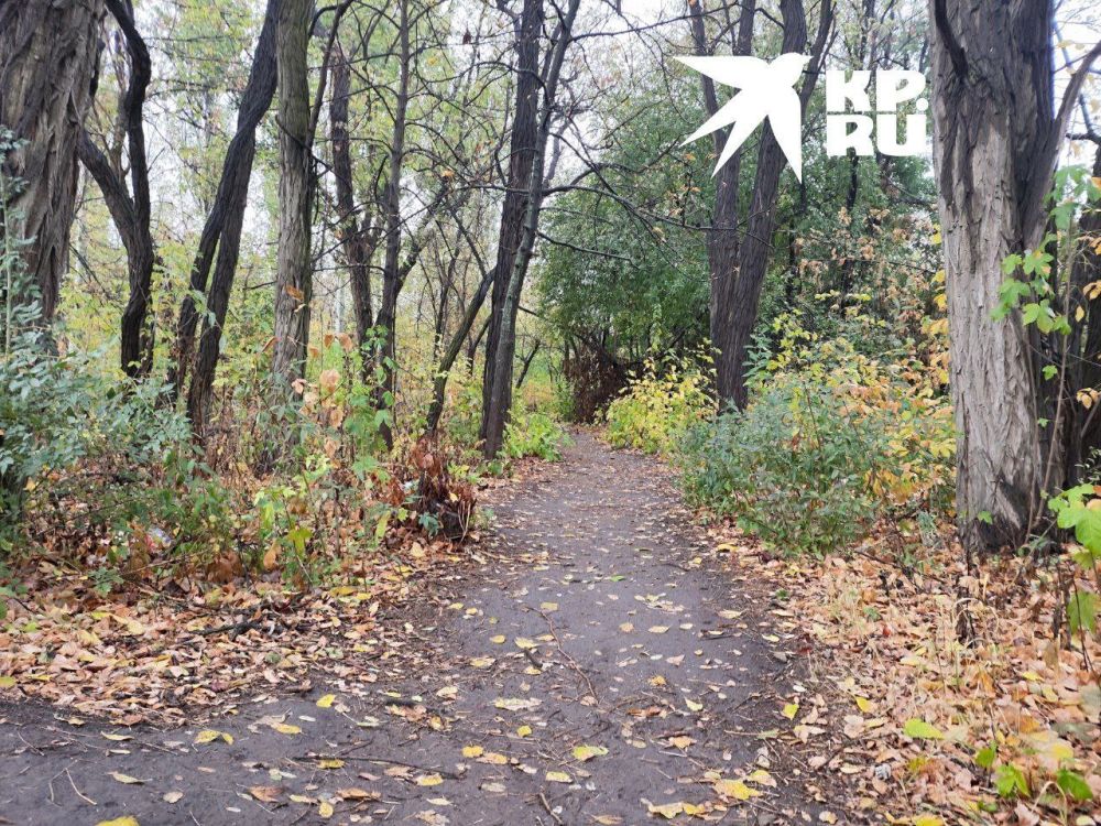 �������� � ��������. � �� ��� ������� ������� �����? ������������ �� @kp_lnr