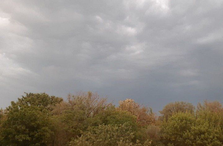 � ��� ������������ ������� ����������� 21 �������