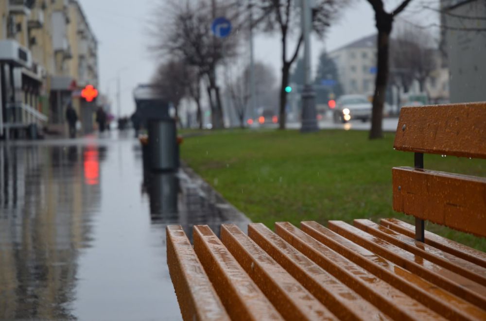 ������ ����, �������!. ������ ���� ����� ���������, ��������������� �����. ������������ ����������� ������� ���� +11�C, ����� 5�/�