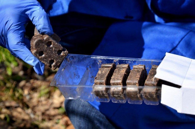 ��������� ��������� ����������� � ���������� ����������� ����� �������� ������ ���������