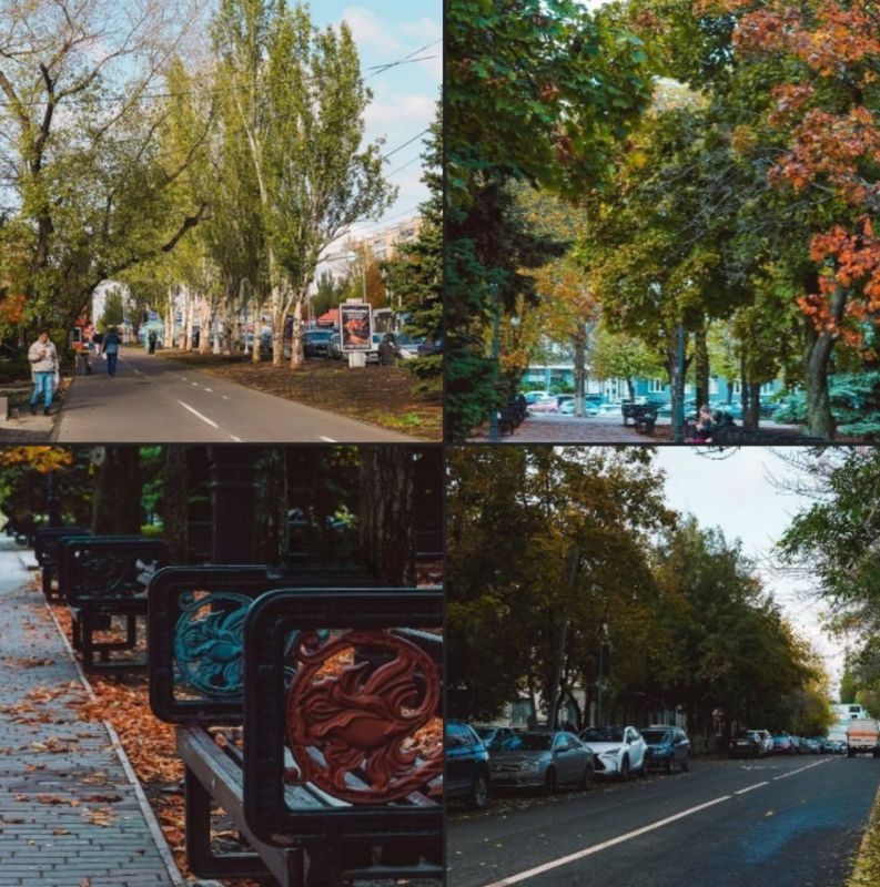 ������ ����, �������!. ������ ���� ����� ������������, ��� �������. ������������ ����������� ������� ���� +18�C, ����� ��������, 4�/�